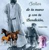 michaelsolan778